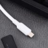 Type-C to Type-C Cable (100W)