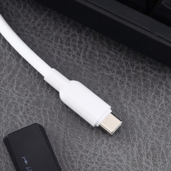 Type-C to Type-C Cable (100W)