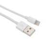USB-A to Lightning Cable