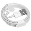 USB-A to Lightning Cable